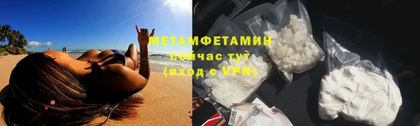 ПСИЛОЦИБИНОВЫЕ ГРИБЫ Белокуриха