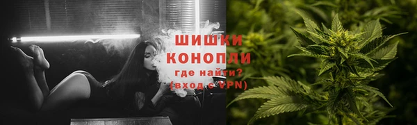 ПСИЛОЦИБИНОВЫЕ ГРИБЫ Белокуриха